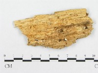 登錄號:F0017646藏品圖，第4張