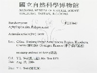 登錄號:F0017647藏品圖，第3張