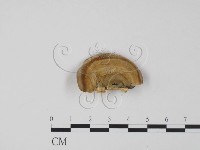 登錄號:F0017649藏品圖，第3張