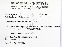 登錄號:F0017650藏品圖，第2張
