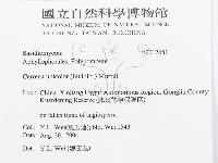 登錄號:F0017651藏品圖，第3張