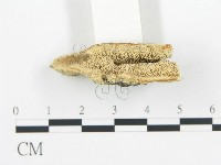 登錄號:F0017651藏品圖，第1張