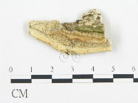 登錄號:F0017651藏品圖，第4張