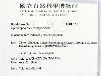 登錄號:F0017652藏品圖，第2張
