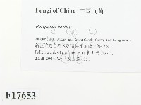 登錄號:F0017653藏品圖，第2張
