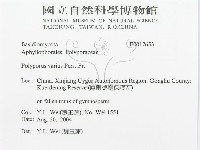 登錄號:F0017653藏品圖，第3張