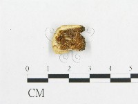 登錄號:F0017653藏品圖，第1張