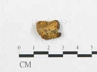 登錄號:F0017653藏品圖，第4張