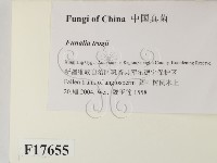 登錄號:F0017655藏品圖，第2張