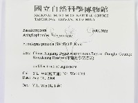 松生擬層孔菌藏品圖，第3張
