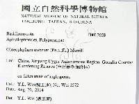 登錄號:F0017658藏品圖，第2張