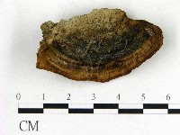 登錄號:F0017658藏品圖，第3張