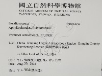 雲芝藏品圖，第2張
