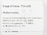 登錄號:F0017660藏品圖，第2張