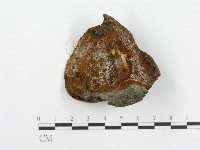 登錄號:F0017660藏品圖，第1張