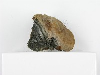 登錄號:F0017660藏品圖，第6張