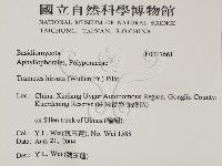 登錄號:F0017661藏品圖，第2張
