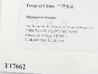 登錄號:F0017662藏品圖，第2張