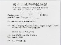 登錄號:F0017662藏品圖，第3張