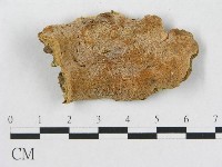 登錄號:F0017662藏品圖，第4張