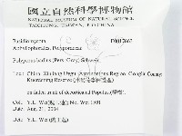 登錄號:F0017663藏品圖，第3張