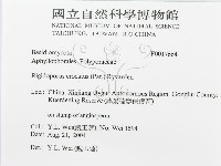 登錄號:F0017664藏品圖，第3張