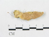 登錄號:F0017664藏品圖，第1張