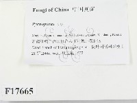 登錄號:F0017665藏品圖，第2張