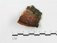 登錄號:F0017665藏品圖，第1張