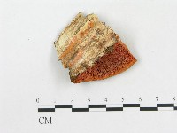 登錄號:F0017665藏品圖，第4張