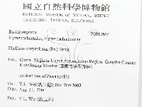 登錄號:F0017666藏品圖，第3張