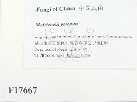 登錄號:F0017667藏品圖，第2張