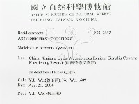 登錄號:F0017667藏品圖，第3張