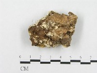 登錄號:F0017667藏品圖，第4張