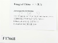 登錄號:F0017668藏品圖，第2張