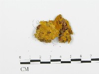 登錄號:F0017668藏品圖，第1張