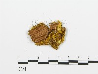 登錄號:F0017668藏品圖，第4張