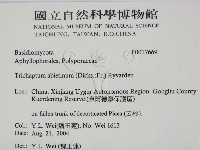 登錄號:F0017669藏品圖，第2張