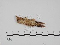 登錄號:F0017669藏品圖，第1張