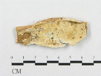 登錄號:F0017670藏品圖，第1張