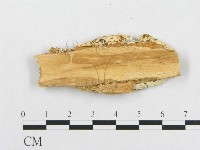 登錄號:F0017670藏品圖，第4張