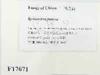 登錄號:F0017671藏品圖，第2張