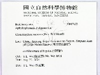 登錄號:F0017673藏品圖，第2張