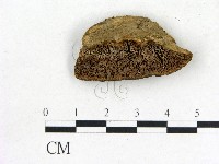 登錄號:F0017673藏品圖，第1張