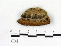 登錄號:F0017673藏品圖，第3張