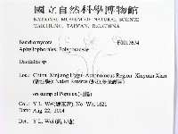 登錄號:F0017674藏品圖，第2張