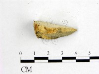 登錄號:F0017674藏品圖，第4張