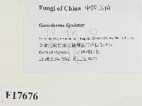 登錄號:F0017676藏品圖，第2張