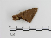 登錄號:F0017676藏品圖，第4張
