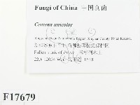 登錄號:F0017679藏品圖，第2張